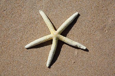 《卧龙：苍天陨落》“天柱山”场景10分钟实机视频